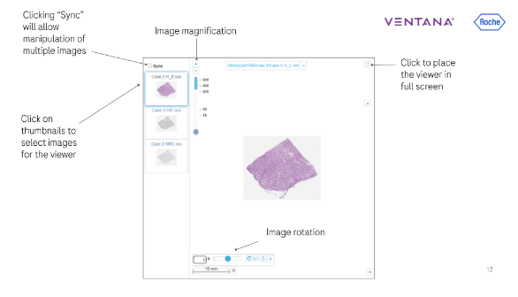 Instructions for viewer
